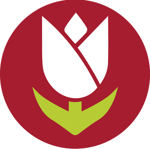 Team Page: Team Gillett